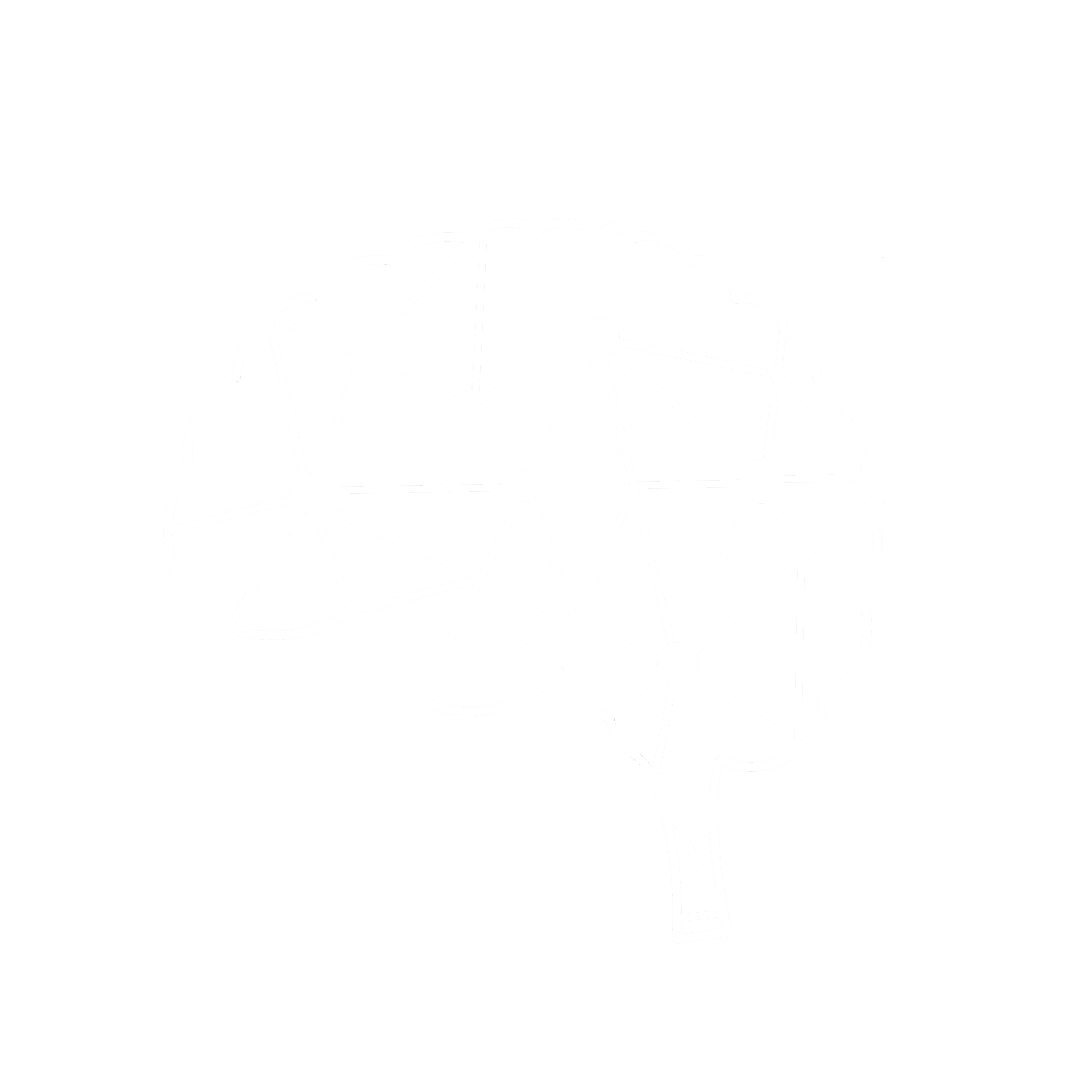 MY CERTIFICATES Silkebode